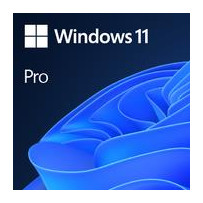 Software|MICROSOFT|Win 11 Pro 64Bit Eng Intl 1pk DSP OEI DVD|Win Pro|OEM|English|FQC-10528