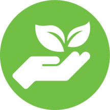 Dymo 99012 (S0722400) Etiketės 36 x 89mm, 2 ritinėliai x 260 etikečių, Balta...