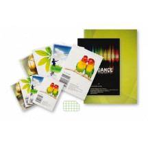 Bloknotas, plėšomas SMLT, A7/50, langeliais 0723-008