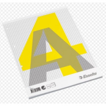 Bloknotas, plėšomas, Esselte, A4/100, langeliais