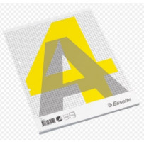 Bloknotas, plėšomas, Esselte, A4/100, langeliais