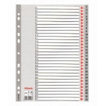 Skiriamieji lapai Esselte PP, A4, 1-31 skaičiai, plastikiniai