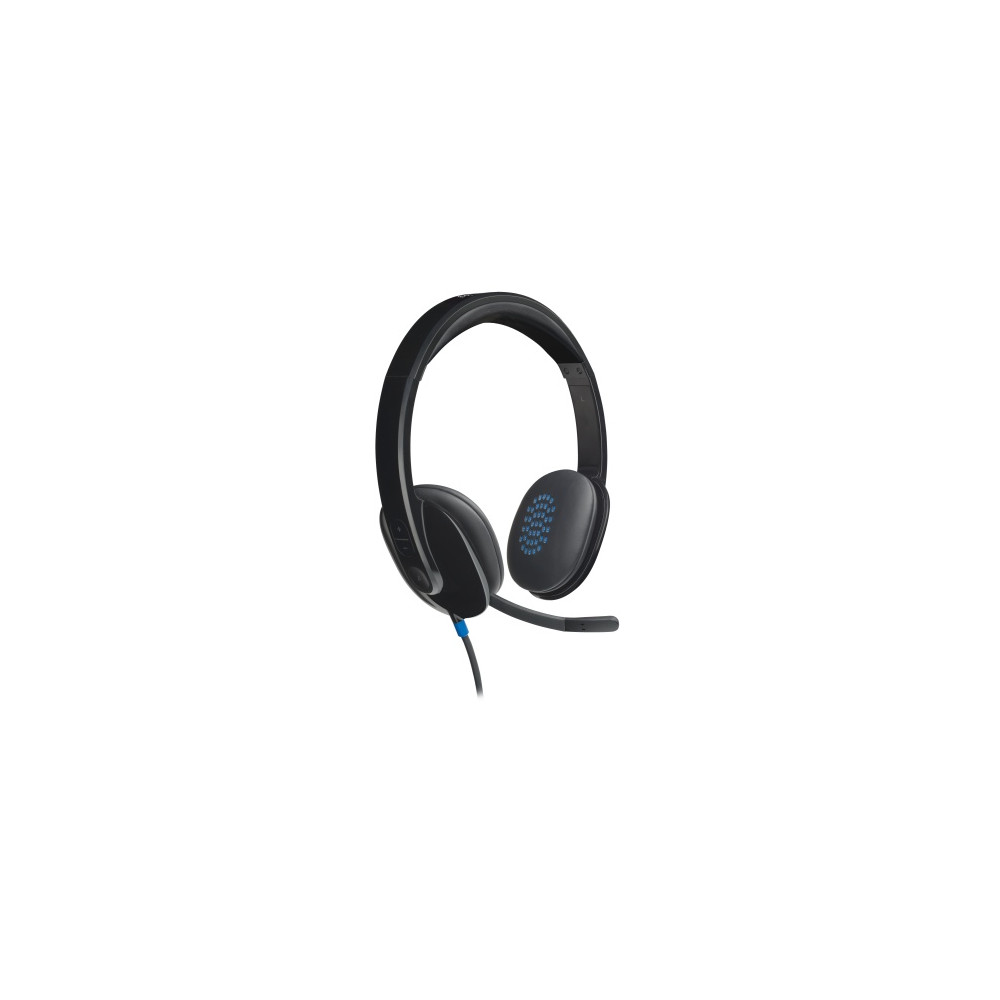 Logitech H540 Laidinės ausinės, USB-A, Juoda
