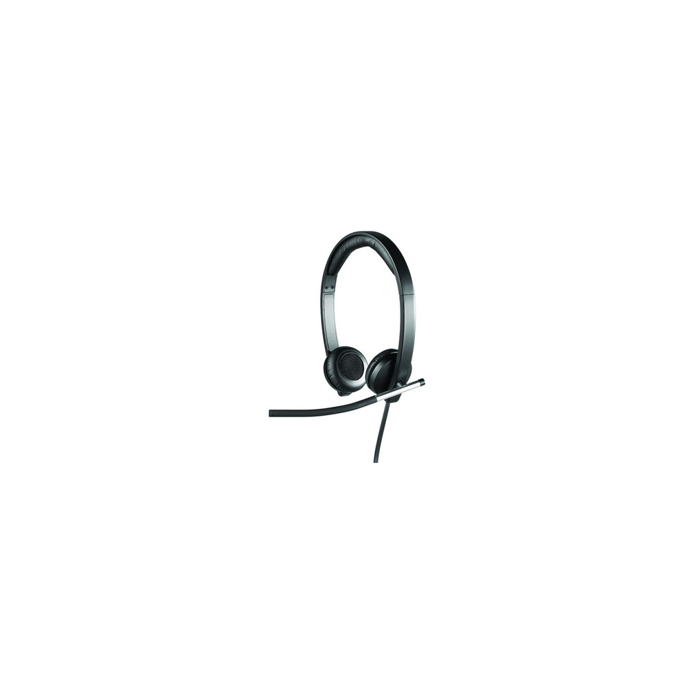 Ausinės Logitech H650e Stereo USB (981-000519)