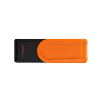 MEMORY DRIVE FLASH USB3.2/256GB DTXS/256GB KINGSTON
